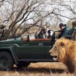 1 kruger park safari Kruger Park Safari