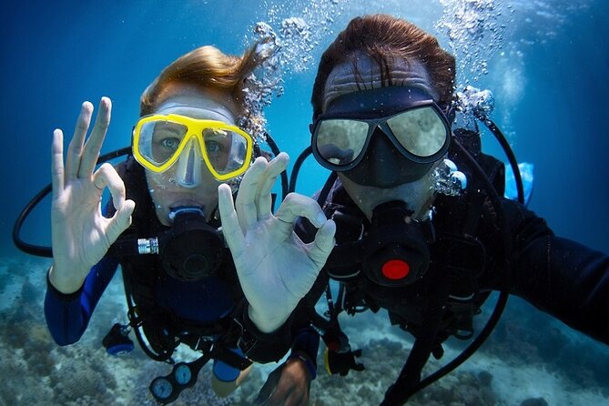 Kusadasi Beginners Discover Scuba Dive W/Transfers & Lunch