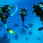1 kusadasi selcuk scuba diving adventure with lunch transfer Kusadasi/Selcuk Scuba Diving Adventure With Lunch & Transfer
