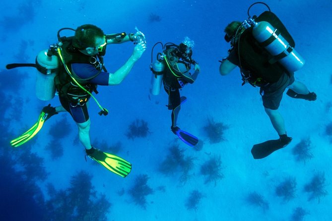 Kusadasi/Selcuk Scuba Diving Adventure With Lunch & Transfer