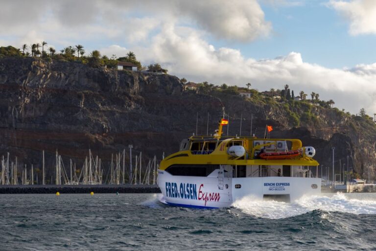 La Gomera: Return Ferry Ticket Internally