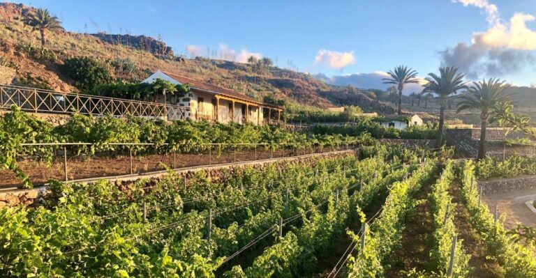 La Gomera: Winery Visit and Tasting Tour