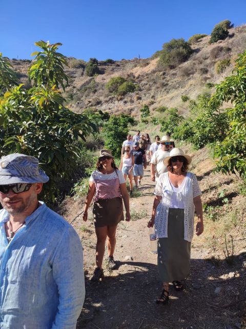 La Herradura Coffee Farm: Tour in Europes Only Plantation