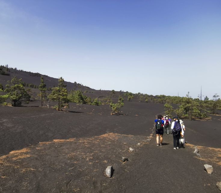 1 la palma guided tour to tajogaite volcano with transfer La Palma: Guided Tour to Tajogaite Volcano With Transfer