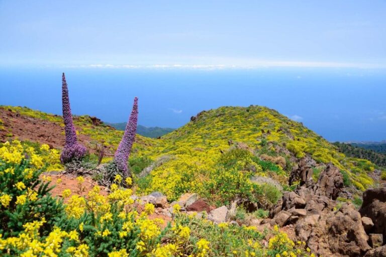 La Palma: Guided Trekking Tour to El Roque De Los Muchachos