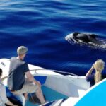 1 la palma wildlife viewing and cumbre vieja boat tour La Palma: Wildlife Viewing and Cumbre Vieja Boat Tour