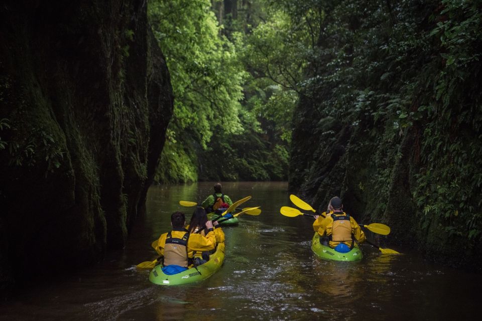 1 lake karapiro evening kayak glowworm tour Lake Karapiro: Evening Kayak Glowworm Tour