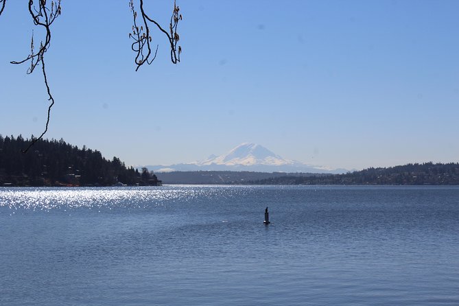 Lake, Old Growth Trees and Columbia City: Beautiful Natural Spaces and History