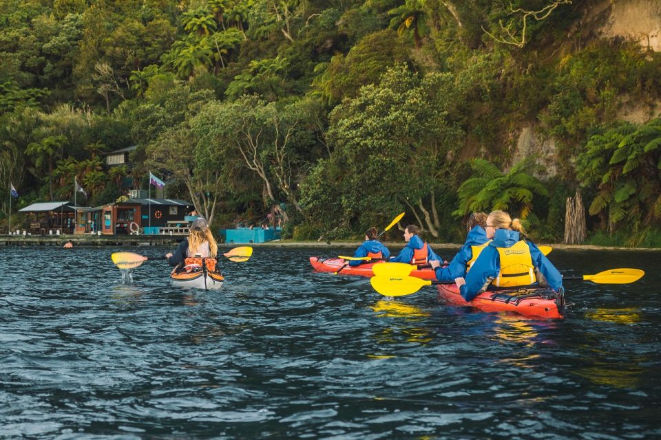 1 lake rotoiti guided evening kayak tour and hot pools Lake Rotoiti: Guided Evening Kayak Tour and Hot Pools