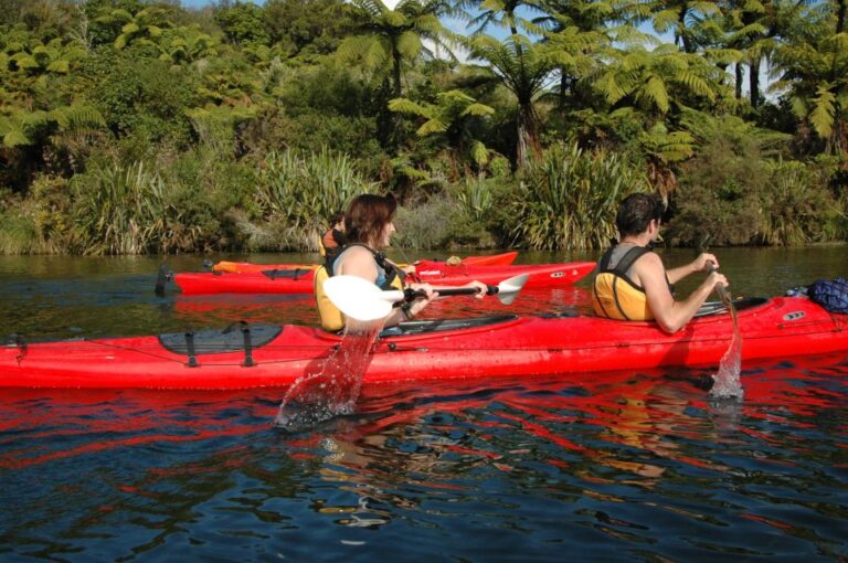 Lake Rotoiti & Hot Pools Guided Kayak