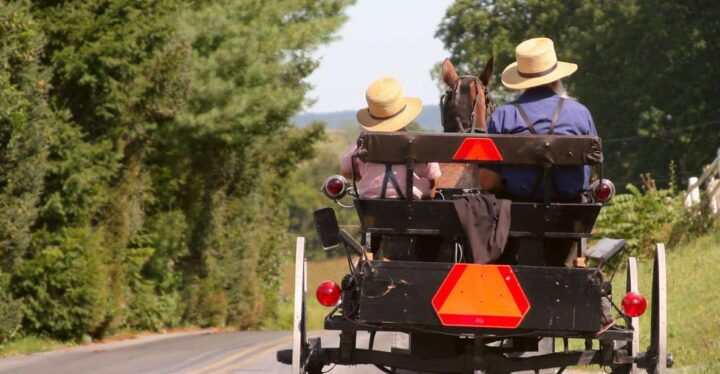 Lancaster County: Amish Farmlands, Museum Tour, Farm Visit - Experience Highlights in Amish Country