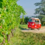 1 langhe tour by ape with a delicious barolo wine tasting Langhe Tour by Ape With a Delicious Barolo Wine Tasting