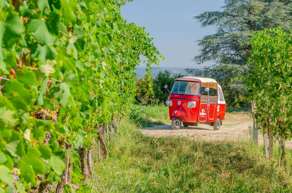 1 langhe tour by ape with a delicious barolo wine tasting Langhe Tour by Ape With a Delicious Barolo Wine Tasting