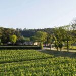 1 languedoc tour and tasting at domaine de baronarques Languedoc: Tour and Tasting at Domaine De Baronarques