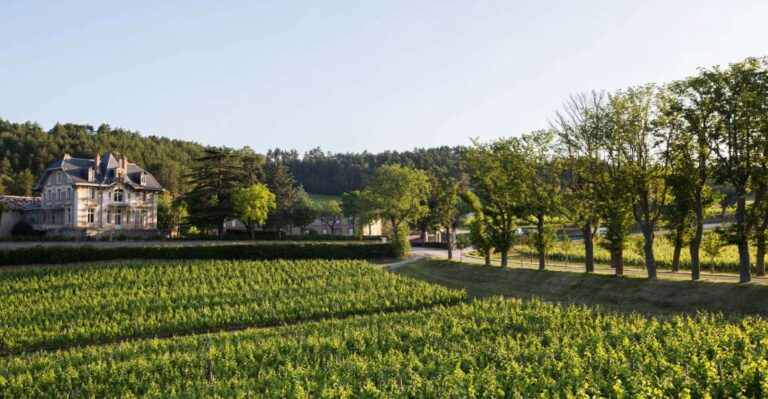 Languedoc: Tour and Tasting at Domaine De Baronarques