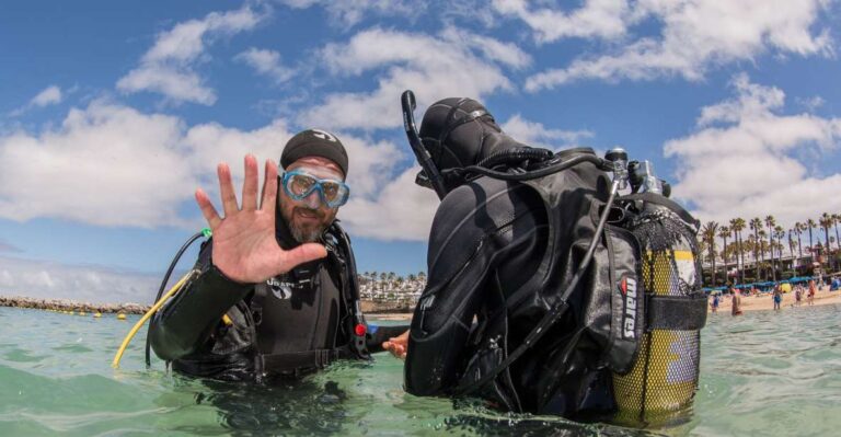 Lanzarote: 2-Dive Package in Playa Blanca – Certified Divers