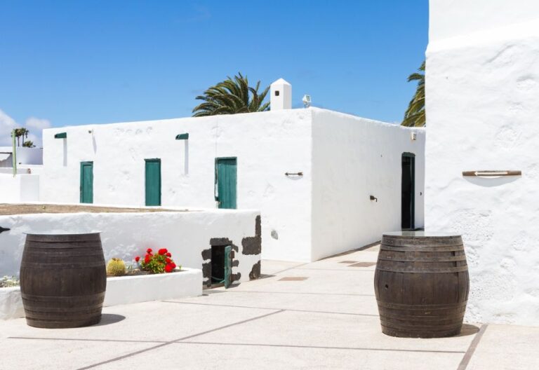 Lanzarote: Audio Guided Tour of the El Grifo Wine Museum