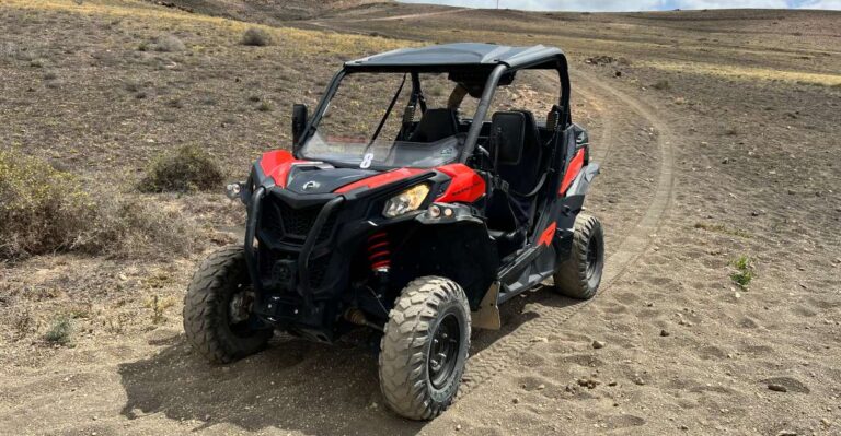 Lanzarote: Guided Can-Am Trail Buggy Tour