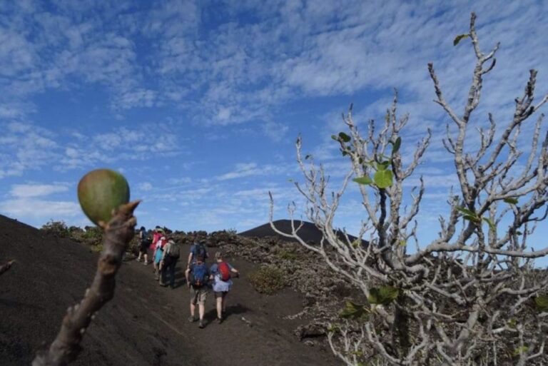 Lanzarote: Hike Across Timanfaya’s Volcanic Landscapes