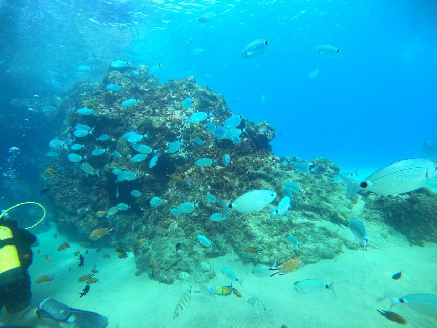 1 lanzarote introductory diving in costa teguise Lanzarote: Introductory Diving in Costa Teguise