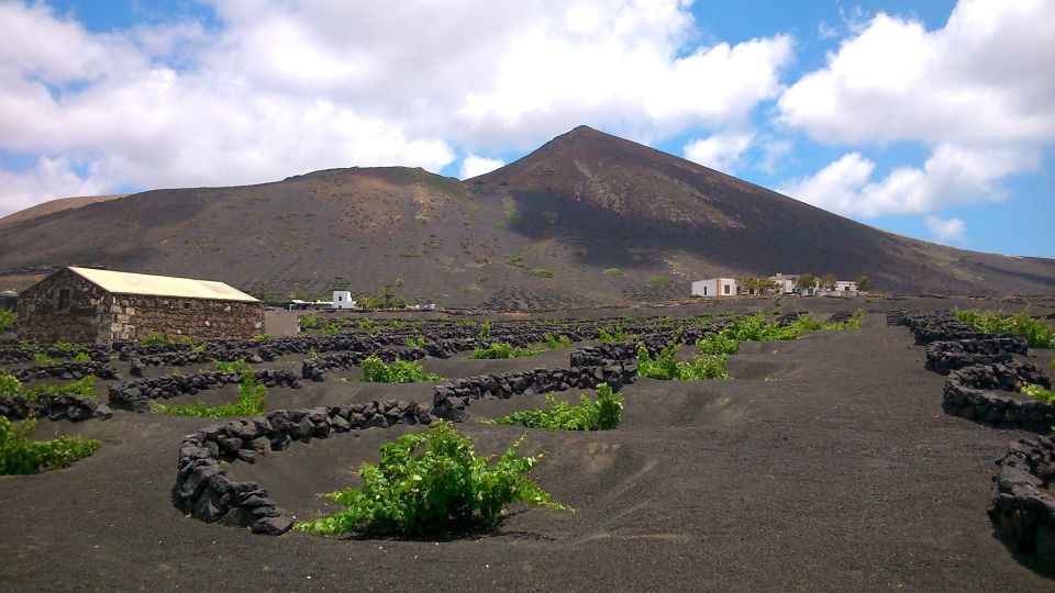 1 lanzarote la geria vineyards hiking tour Lanzarote: La Geria Vineyards Hiking Tour