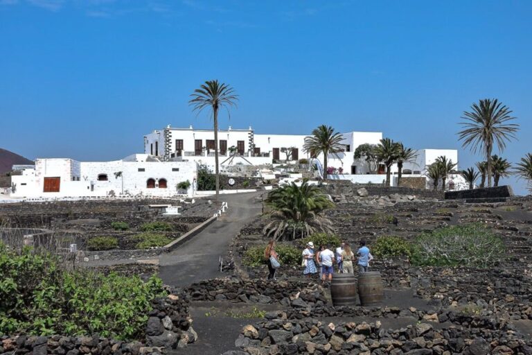 Lanzarote: Vineyard Tour With Wine and Chocolate Tasting