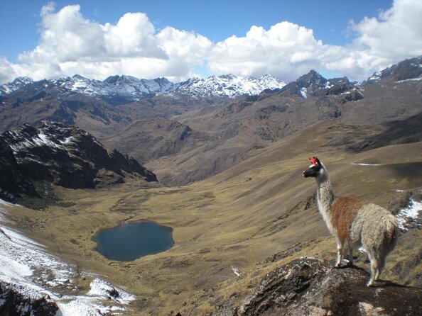 Lares Trek to Machu Picchu: 4-Day Tour