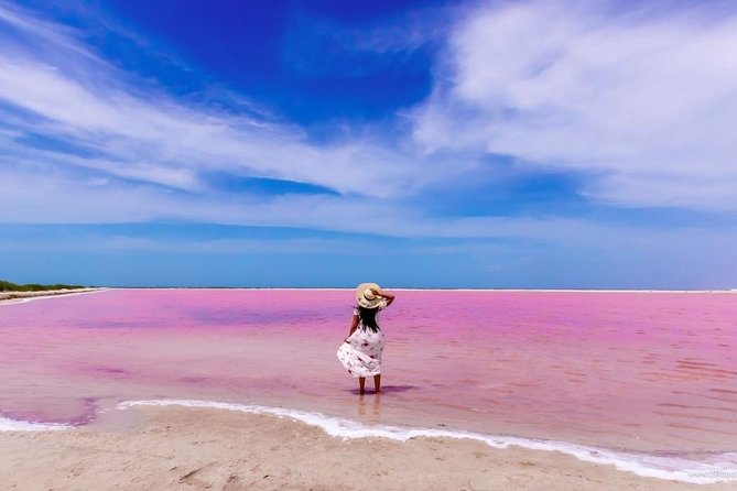 Las Coloradas Pink Lake Tour With Ría Lagartos Nature Reserve  – Cancun