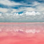 1 las coloradas pink lake with ria lagartos boat trip and meals cancun Las Coloradas Pink Lake With Ría Lagartos Boat Trip and Meals - Cancun