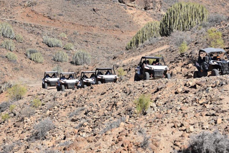 1 las palmas gran canaria guided buggy tour Las Palmas: Gran Canaria Guided Buggy Tour