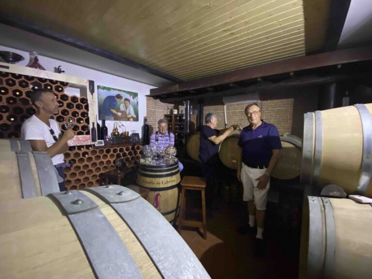 Las Palmas: Gran Canaria’s Best Wineries and Views Tour
