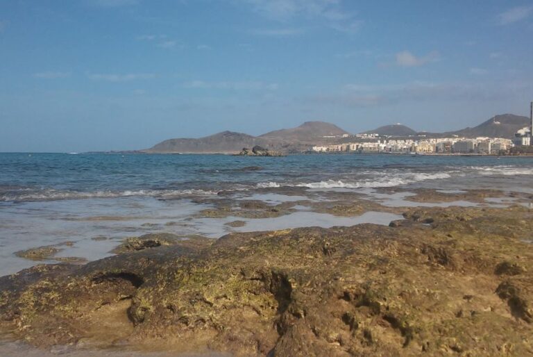 Las Palmas: Las Canteras Beach Snorkeling Trip