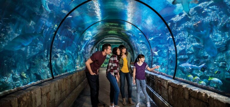 Las Vegas: Shark Reef Aquarium & VR Experience Entry Ticket