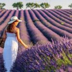 1 lavender fields tour Lavender Fields Tour