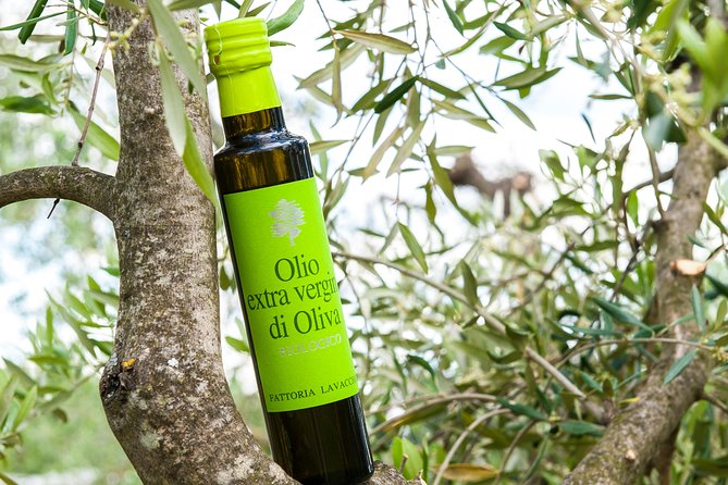 Leonardo Da Vincis Wind Mill Visit and Organic Olive Oil Tasting - Booking Guidelines