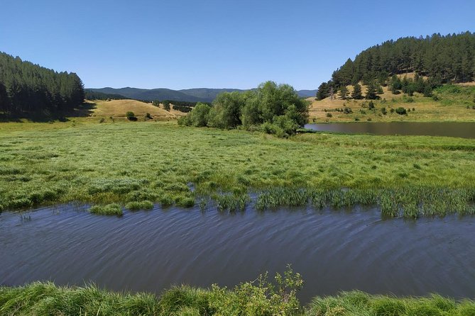 Light Trekking in the Heart of the Sila With an Excursion Guide