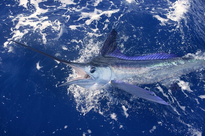 Lihue, Kauai: Private Big Game Fishing Charter