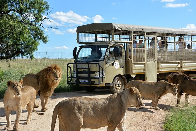 1 lion safari park Lion & Safari Park