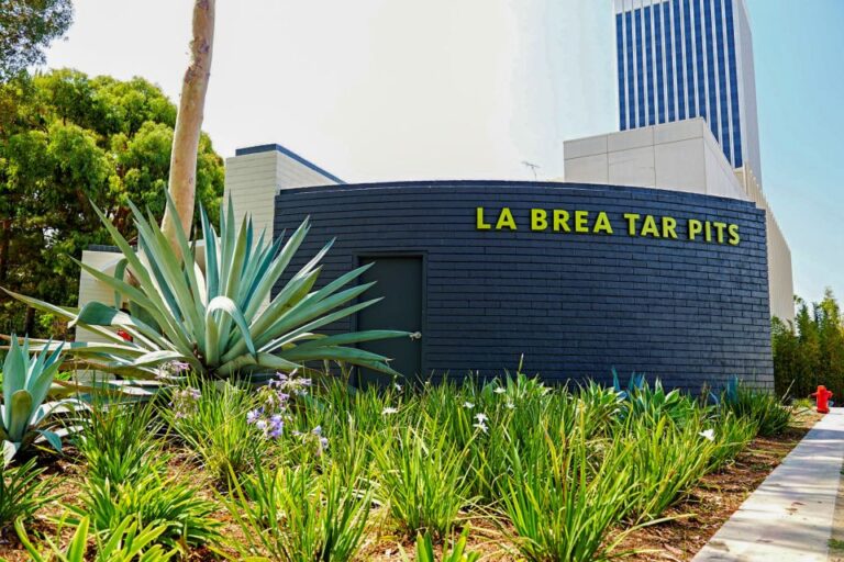 Los Angeles: La Brea Tar Pits Museum Ticket