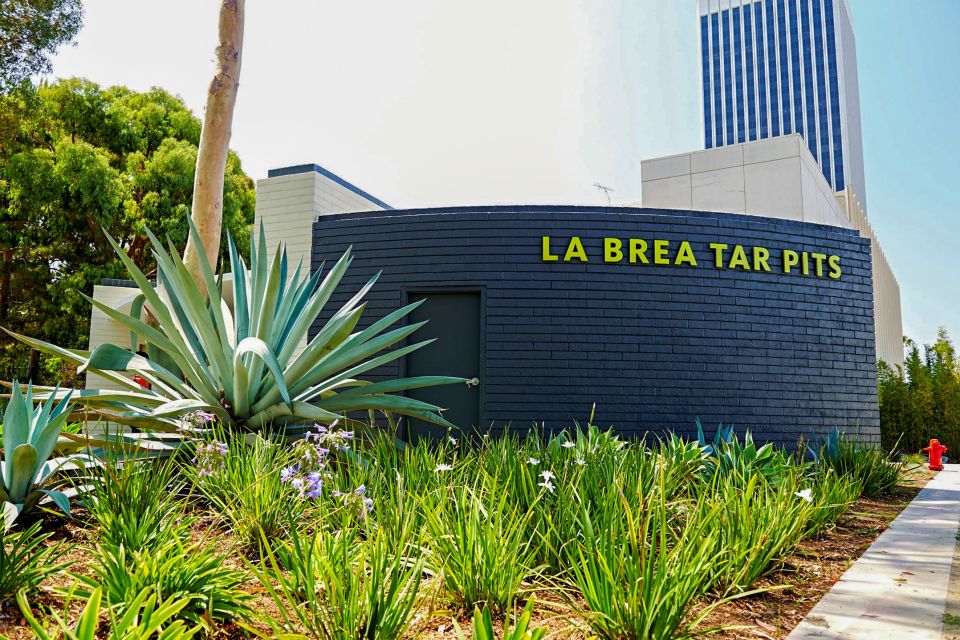 1 los angeles la brea tar pits museum ticket Los Angeles: La Brea Tar Pits Museum Ticket