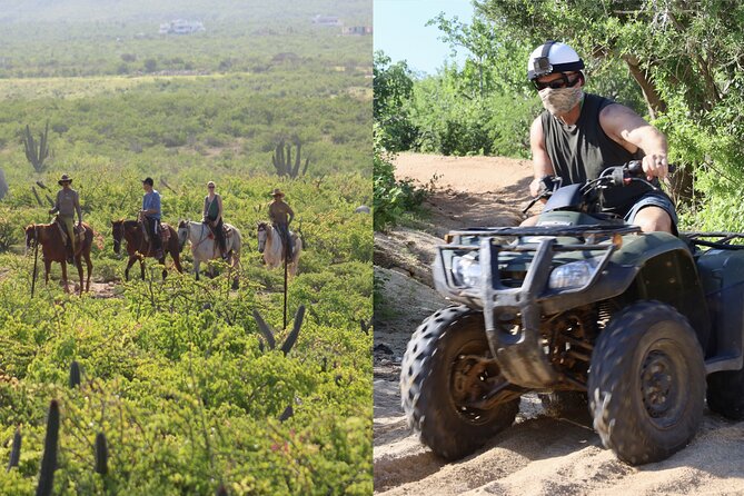Los Cabos ATV and Pacific Horseback Riding Combo Tour