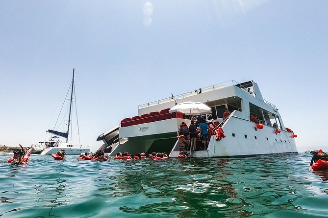 Los Cabos Reef Snorkeling Cruise With Lunch and Open Bar - Tour Information