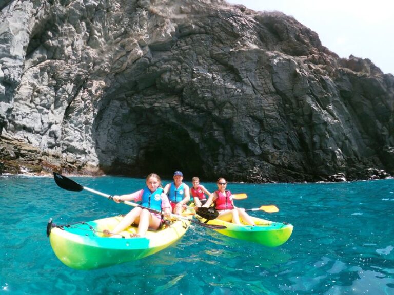 Los Cristianos: Kayak and Snorkel With Turtles