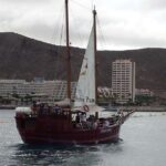 1 los cristianos whale watching sailboat tour and soft drinks Los Cristianos: Whale-Watching Sailboat Tour and Soft Drinks