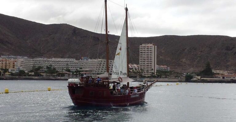 Los Cristianos: Whale-Watching Sailboat Tour and Soft Drinks