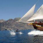 1 los gigantes dolphin and whale watching tour with drinks Los Gigantes: Dolphin and Whale Watching Tour With Drinks