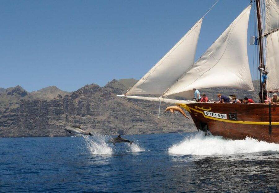 Los Gigantes: Dolphin and Whale Watching Tour With Drinks