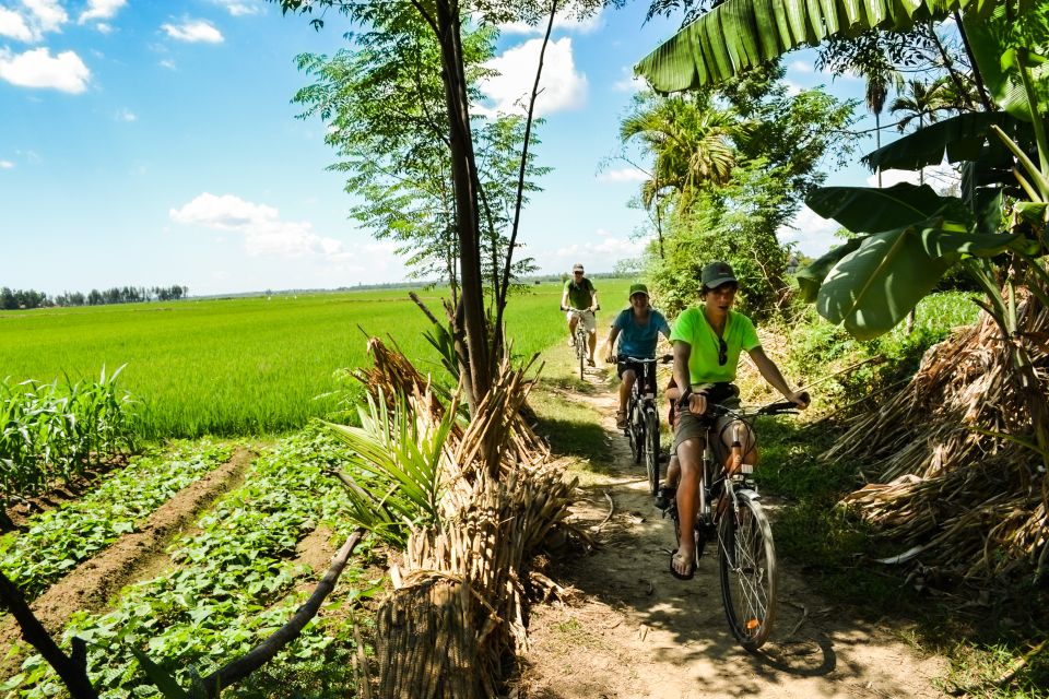 Lost Civilization – My Son Temples Bike Tour in Hoi An