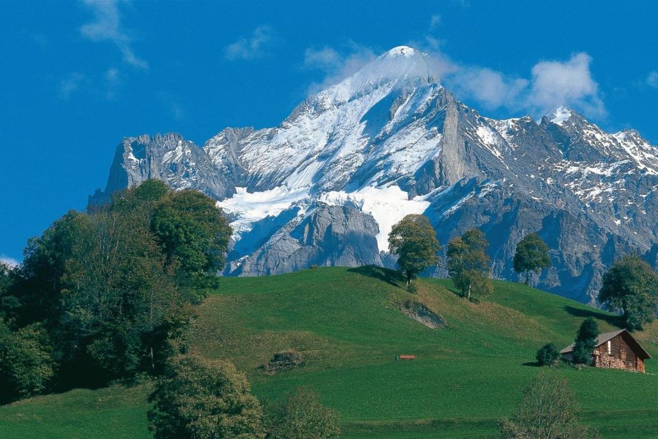 Lucerne: Interlaken and Grindelwald Swiss Alps Day Trip - Booking Details and Pricing Information