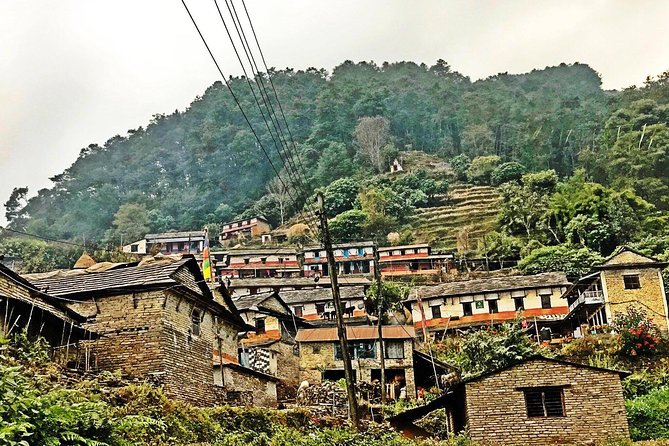 Luwang Village Home Stay Easy Trek With Tea Garden Visit